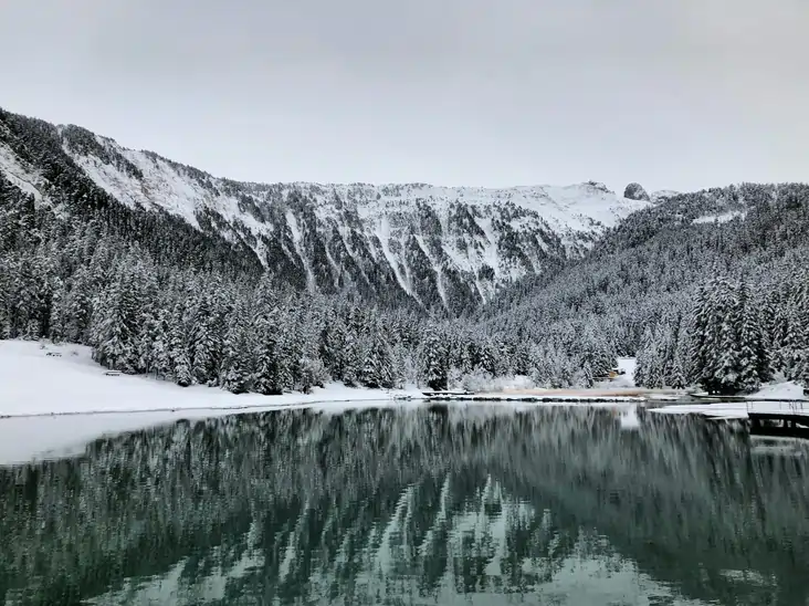 Luxury chauffeur service in Courchevel for VIP transfers and private tours