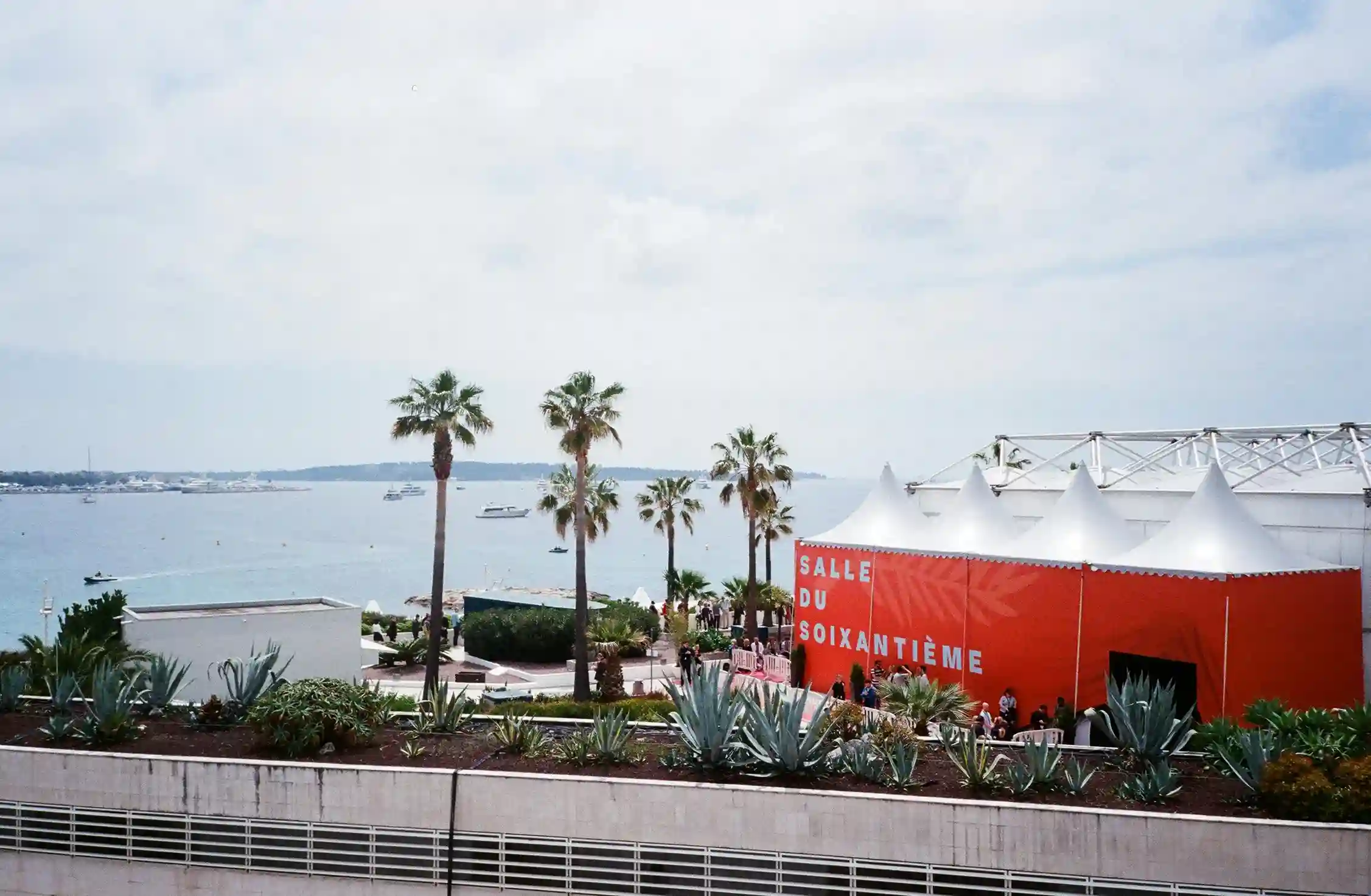 Arrive at the Cannes Festival in luxury with our private chauffeur service