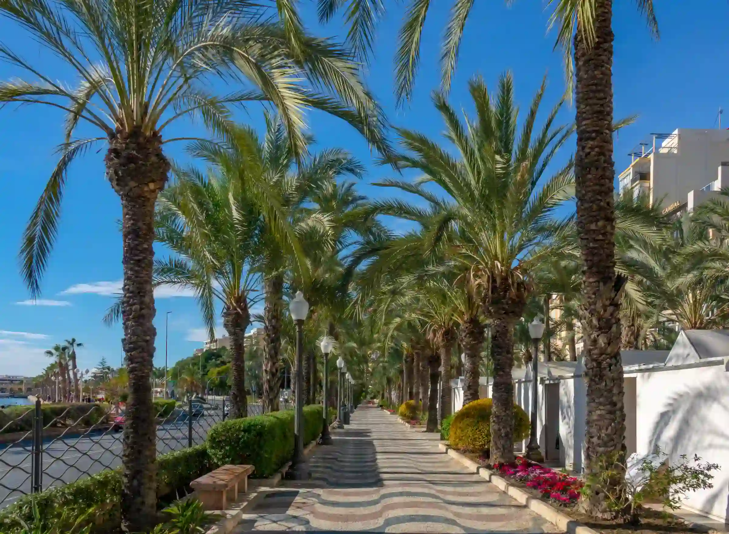 Explanada de Espa&ntilde;a Alicante — palm tree promenade Mediterranean